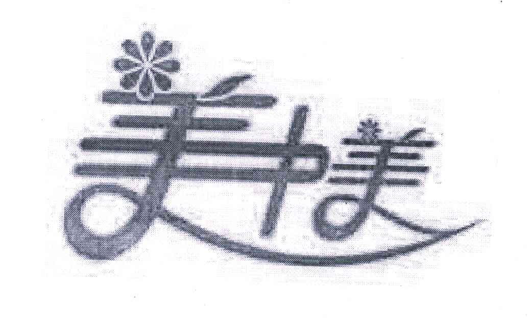 美中美