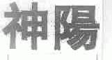神阳