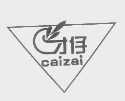 才仔