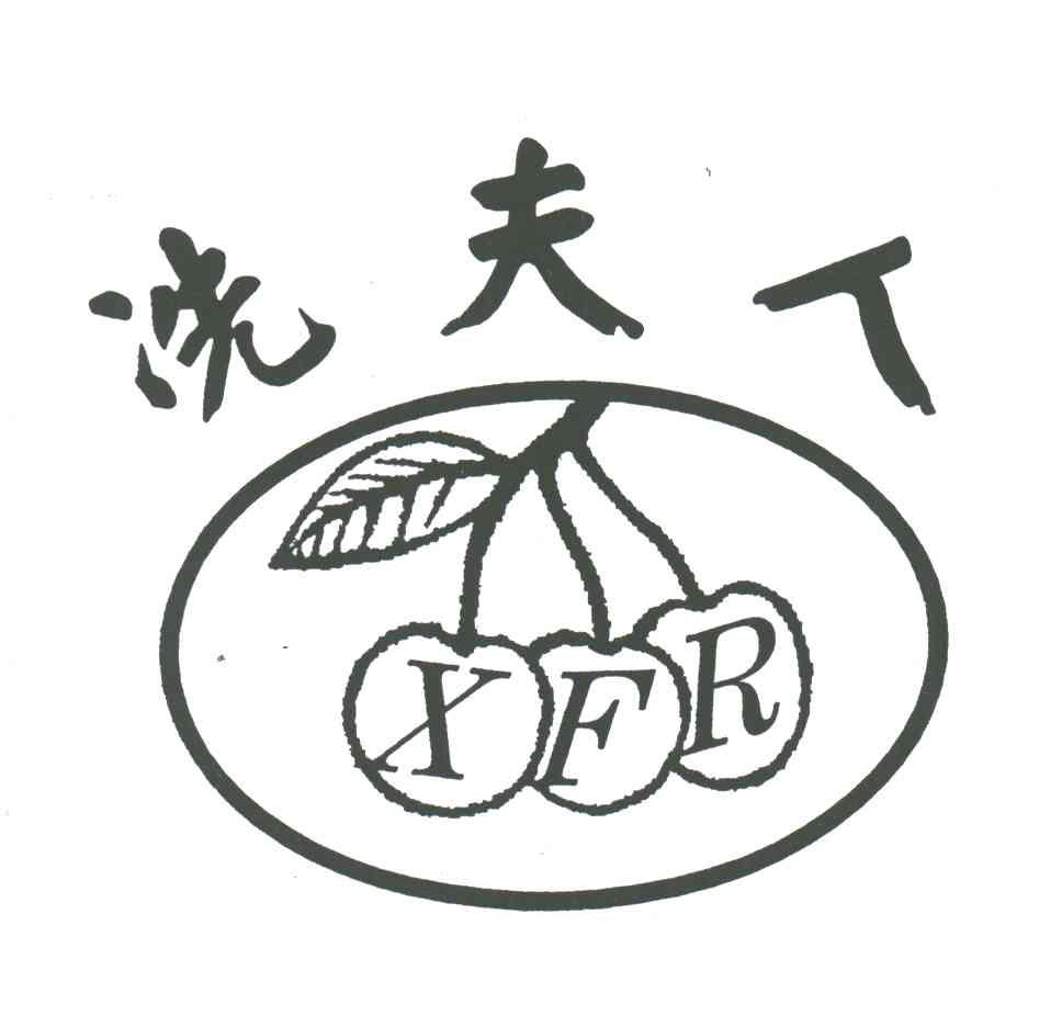 冼夫人;XFR