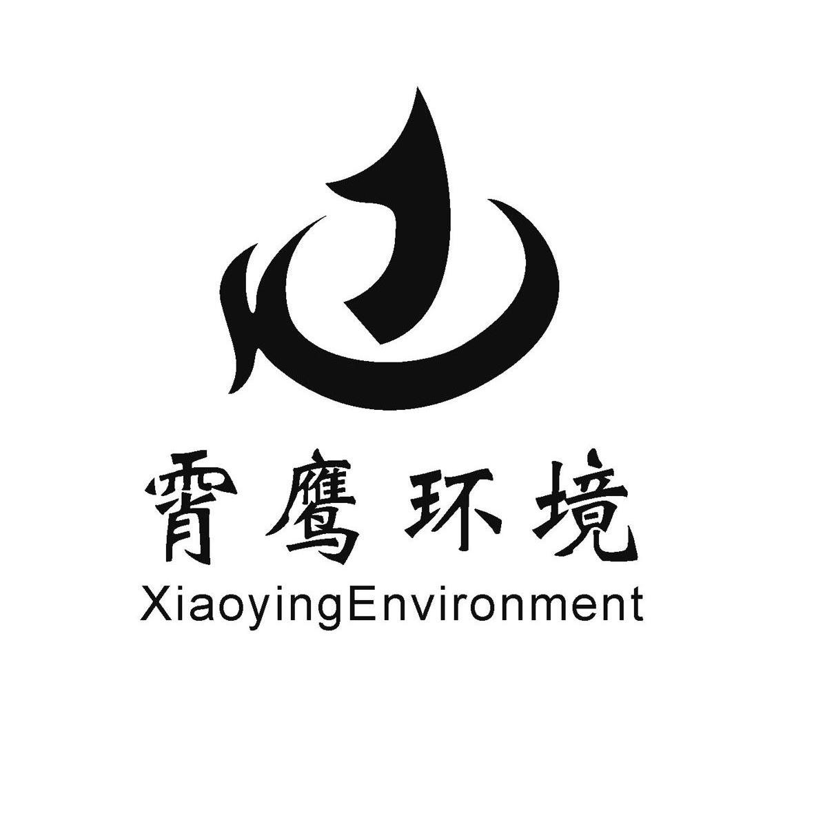 霄鹰环境 XIAOYINGENVIRONMENT