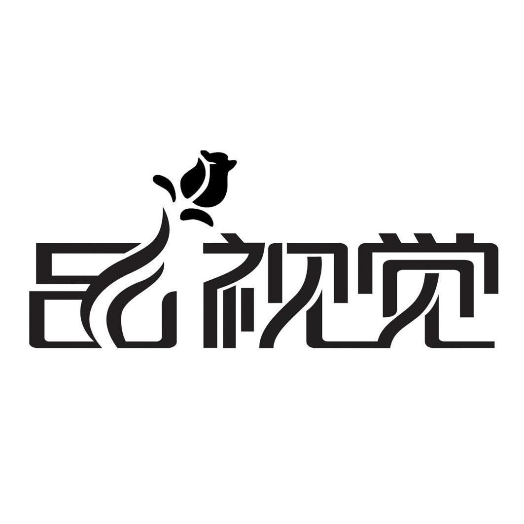 品视觉