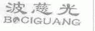 波慈光