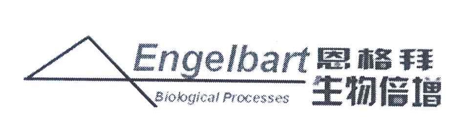 恩格拜生物倍增;ENGELBART BIOLOGICAL PROCESSES