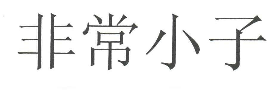 非常小子