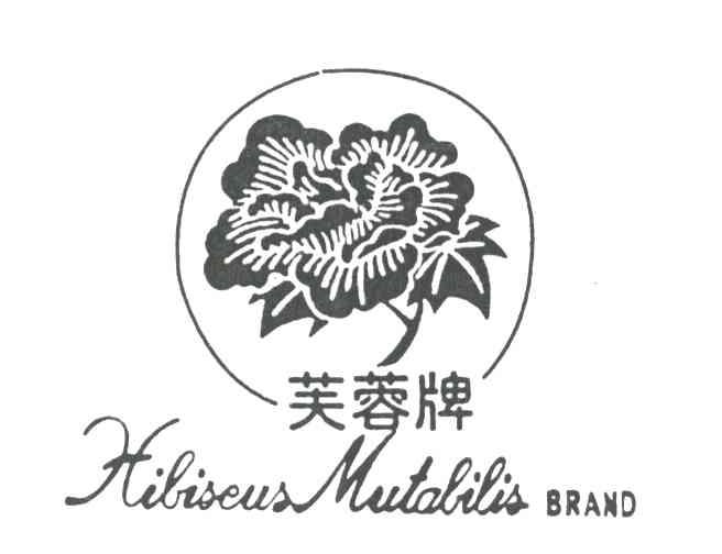 芙蓉;HIBISCUS MUTABILIS BRAND
