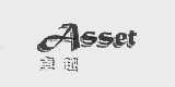 卓越   ASSET