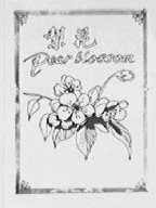 梨花    PEAR BLOSSOM