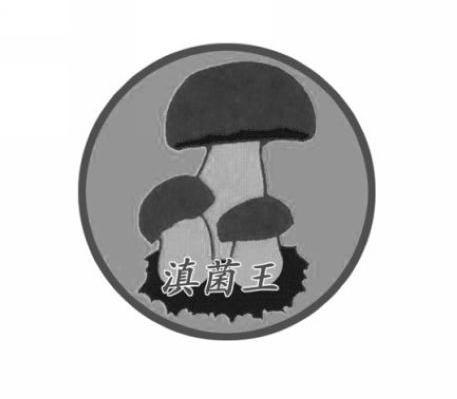 滇菌王