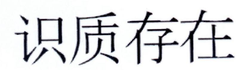 识质存在