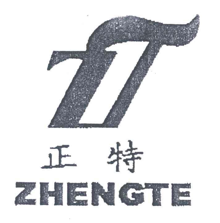 正特