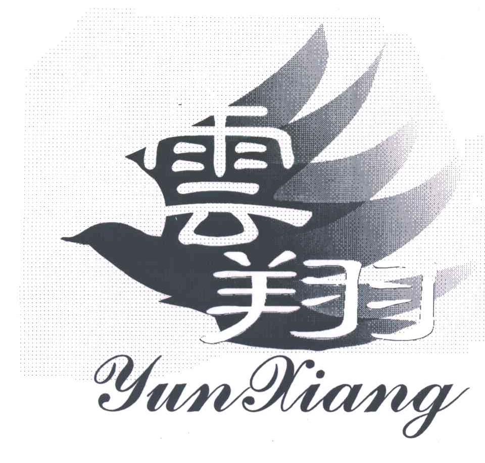 云翔
