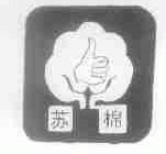 苏棉