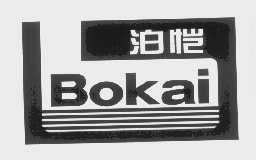 泊恺