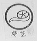 灵芝
