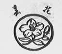 昙花