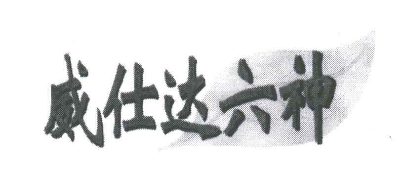 威仕达六神