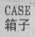 CASE