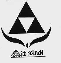 鑫迪