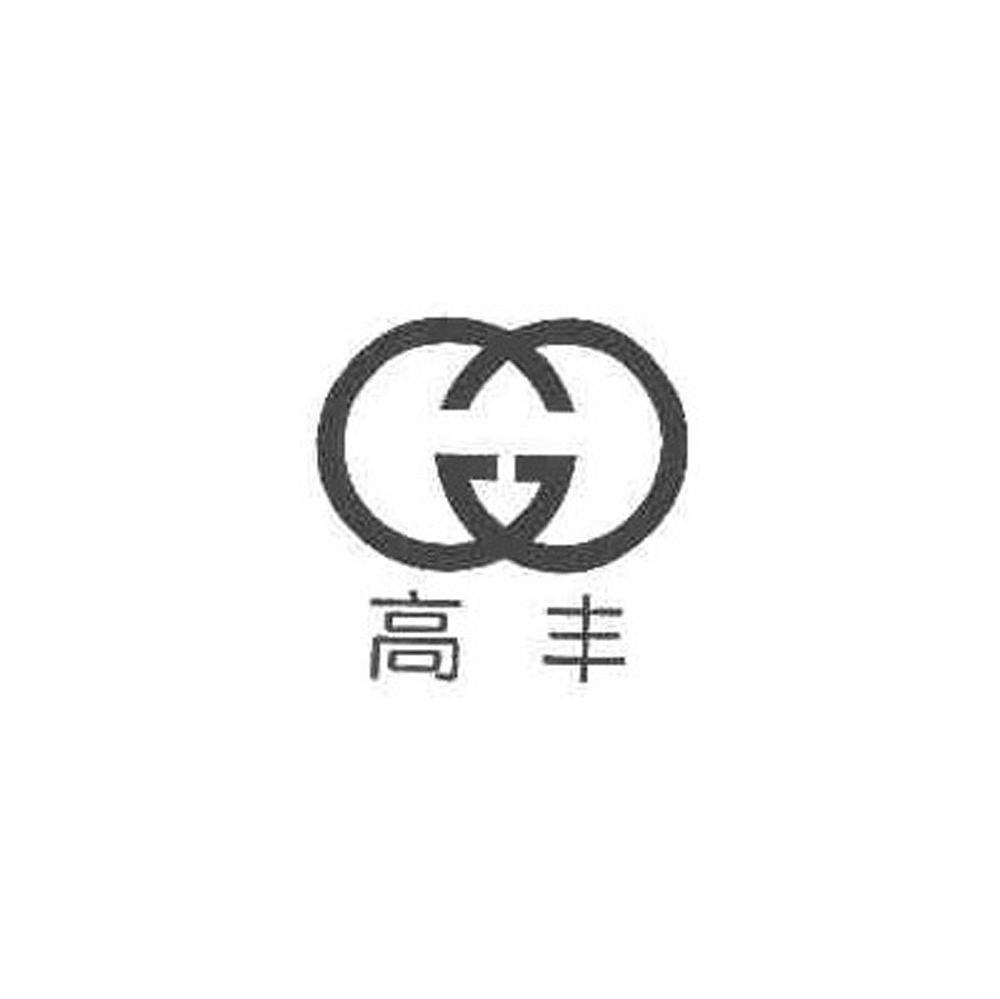 高丰 G