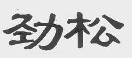 劲松