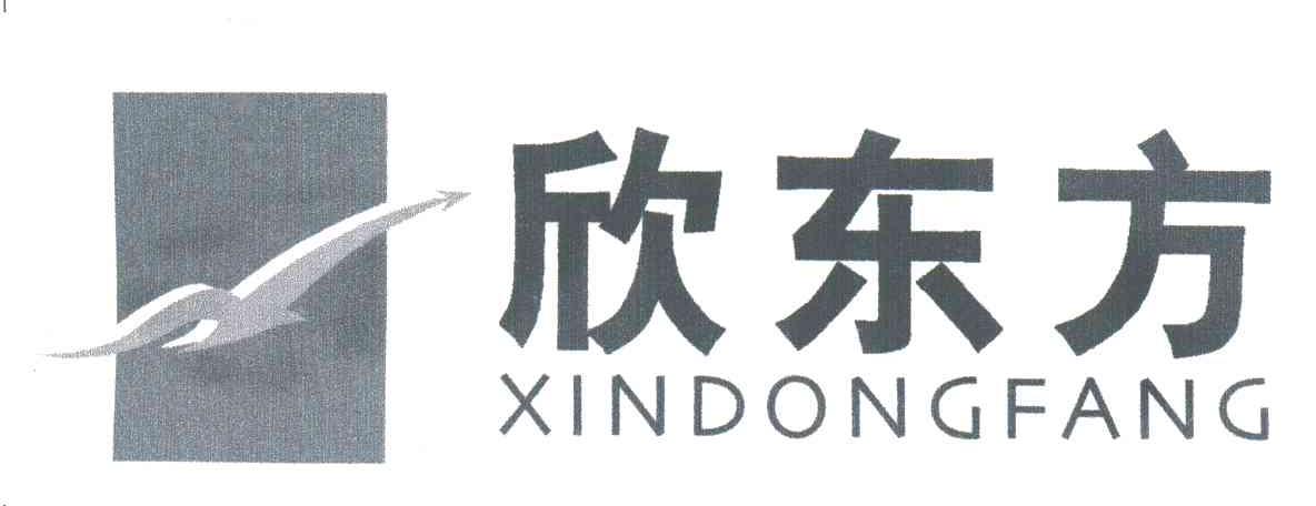 欣东方