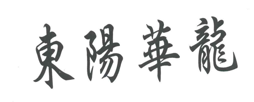 东阳华龙