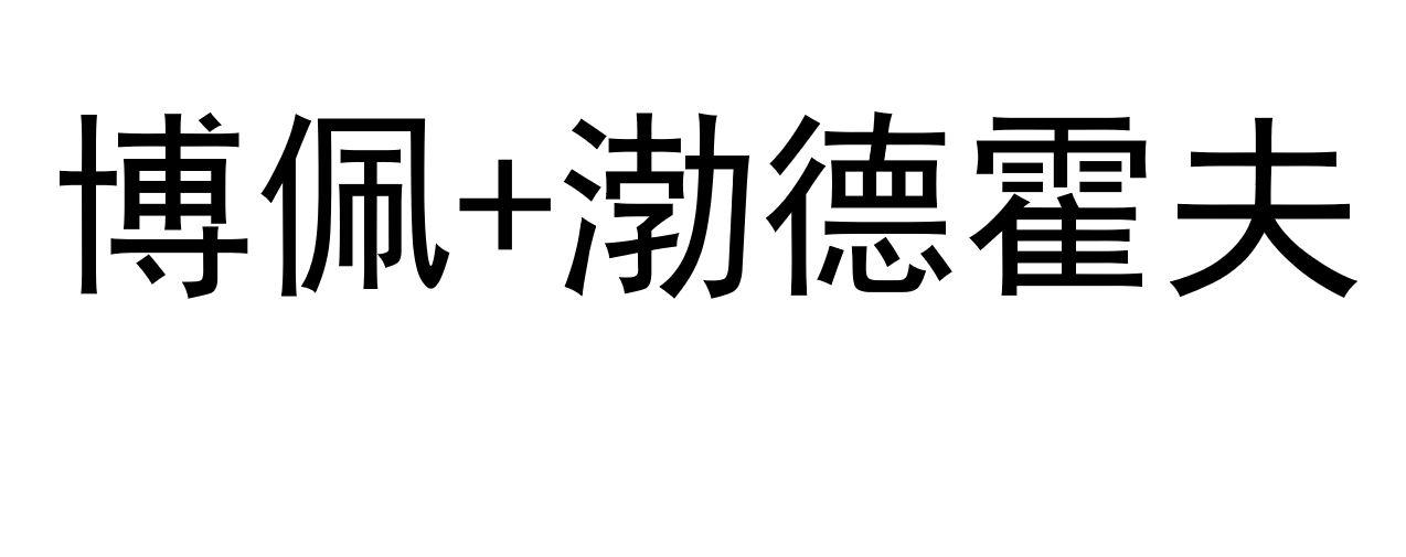 博佩+渤德霍夫
