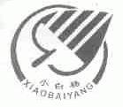 小白杨