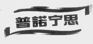 普诺宁思