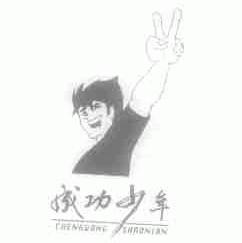 成功少年