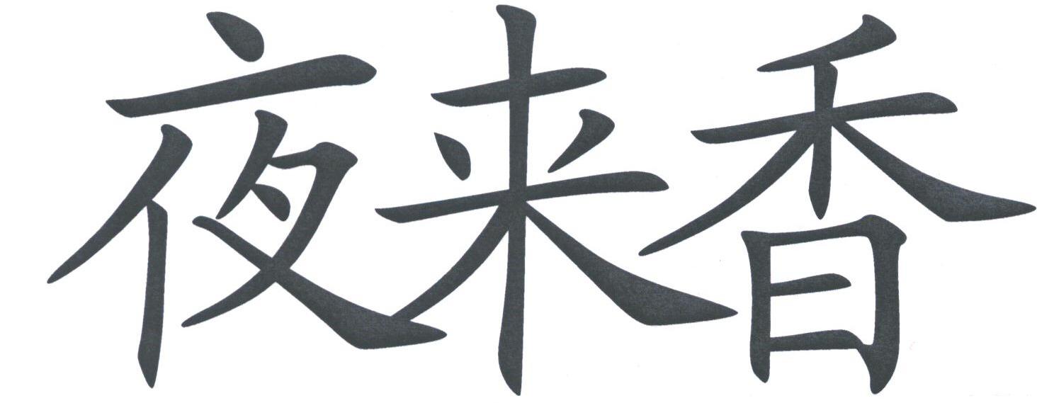 夜来香