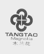 木兰花   MAGNOLIA TANGTAO