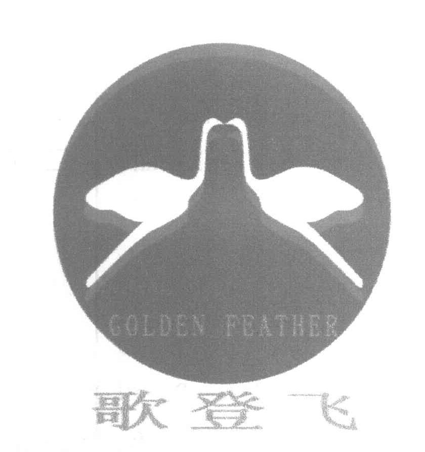 歌登飞 GOLDEN FEATHER