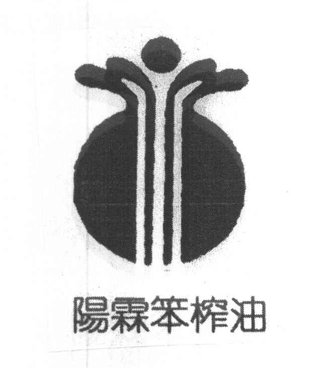 阳霖笨榨油