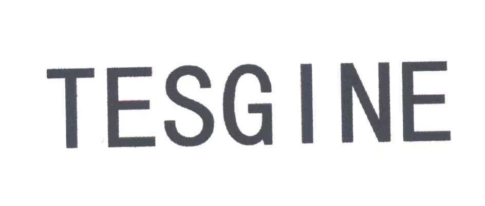 TESGINE