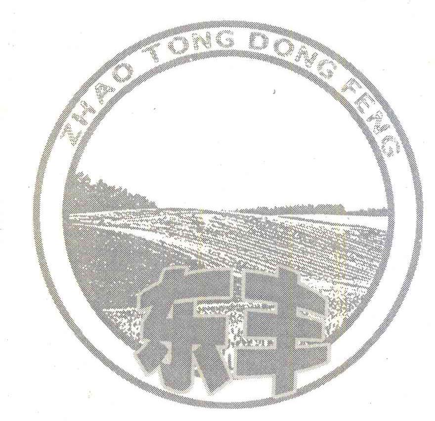 东丰;ZHAO TONG DONG FENG