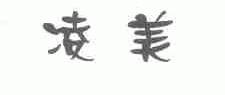 凌美