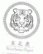 东北虎;NORTHEAST TIGER