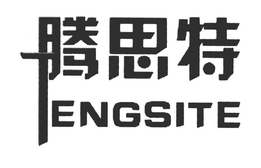 腾思特