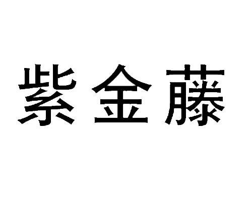 紫金藤
