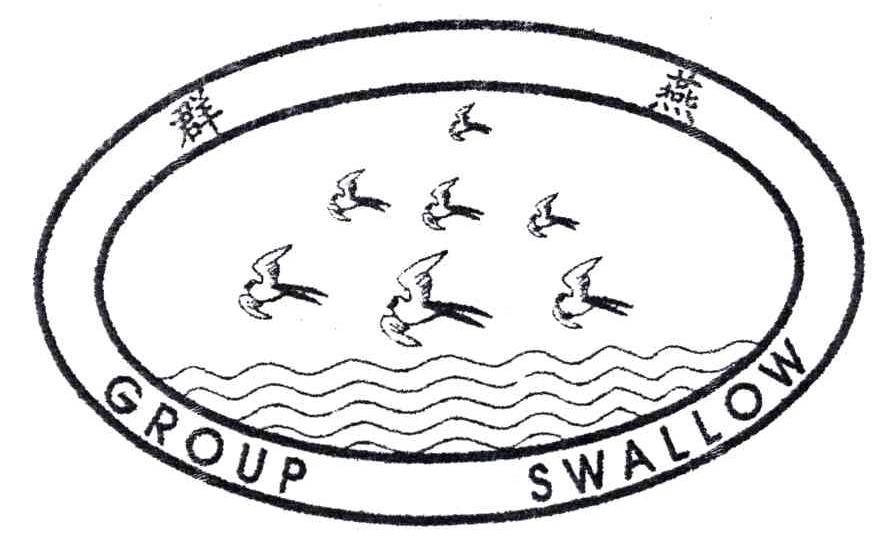 群燕;GROUP SWALLOW