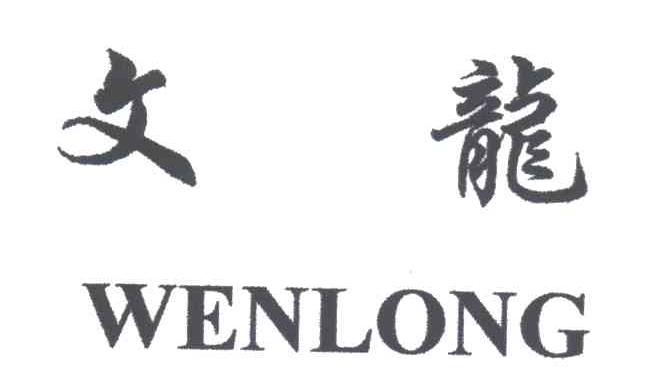 文龙
