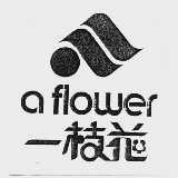 一枝花  A FLOWER