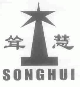 耸慧