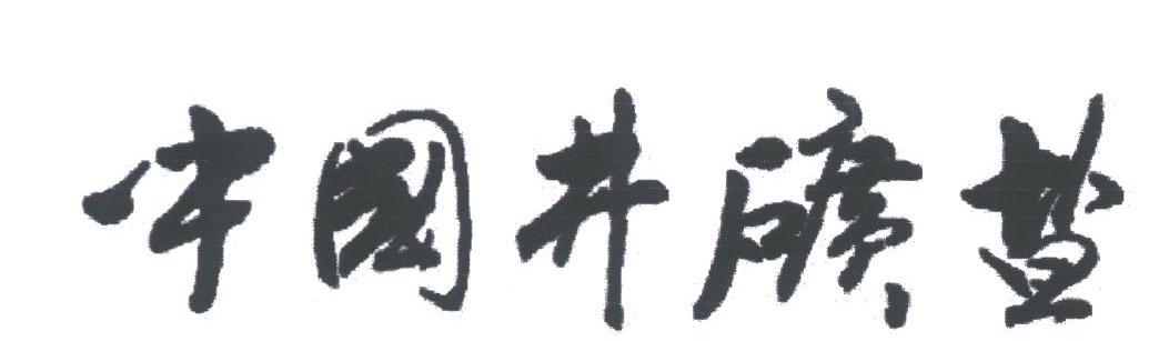 中国井矿盐