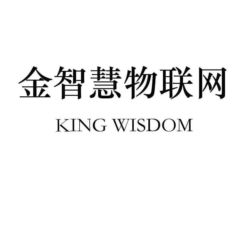 金智慧物联网 KING WISDOM