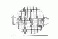 TSMC