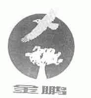 金鹏