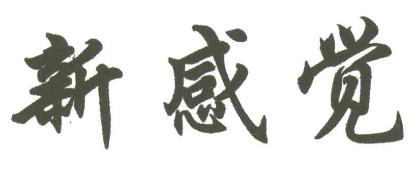 新感觉